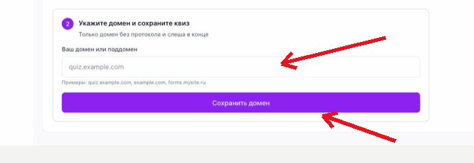 Поле ввода домена и кнопка «Сохранить домен»
