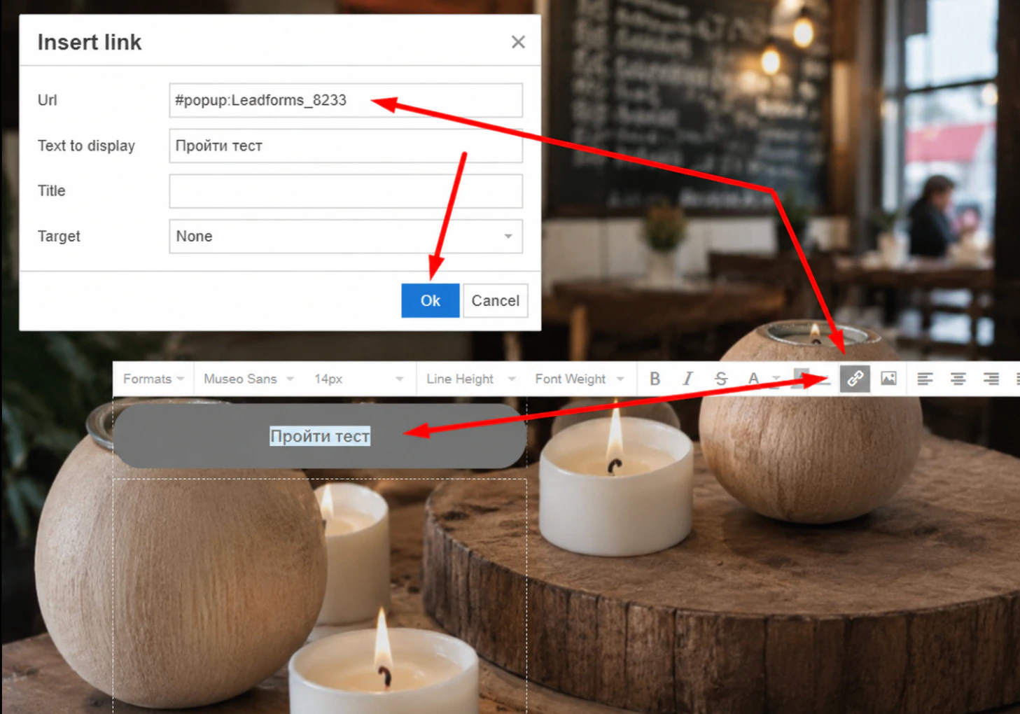 Окно «Insert link» в редакторе Ex-in: поле Url со ссылкой #popup:Leadforms_ID